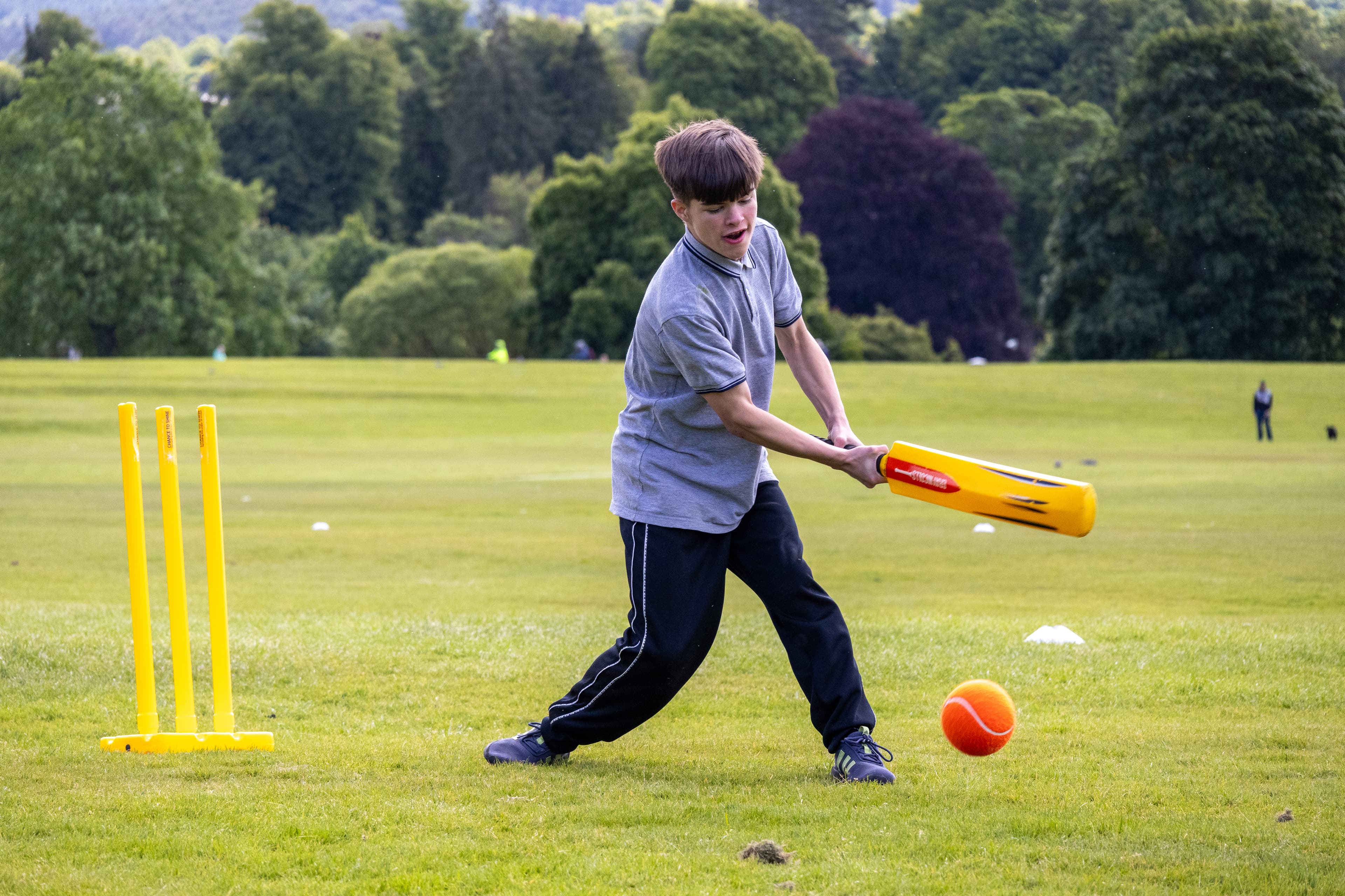 DISABILITY CRICKET