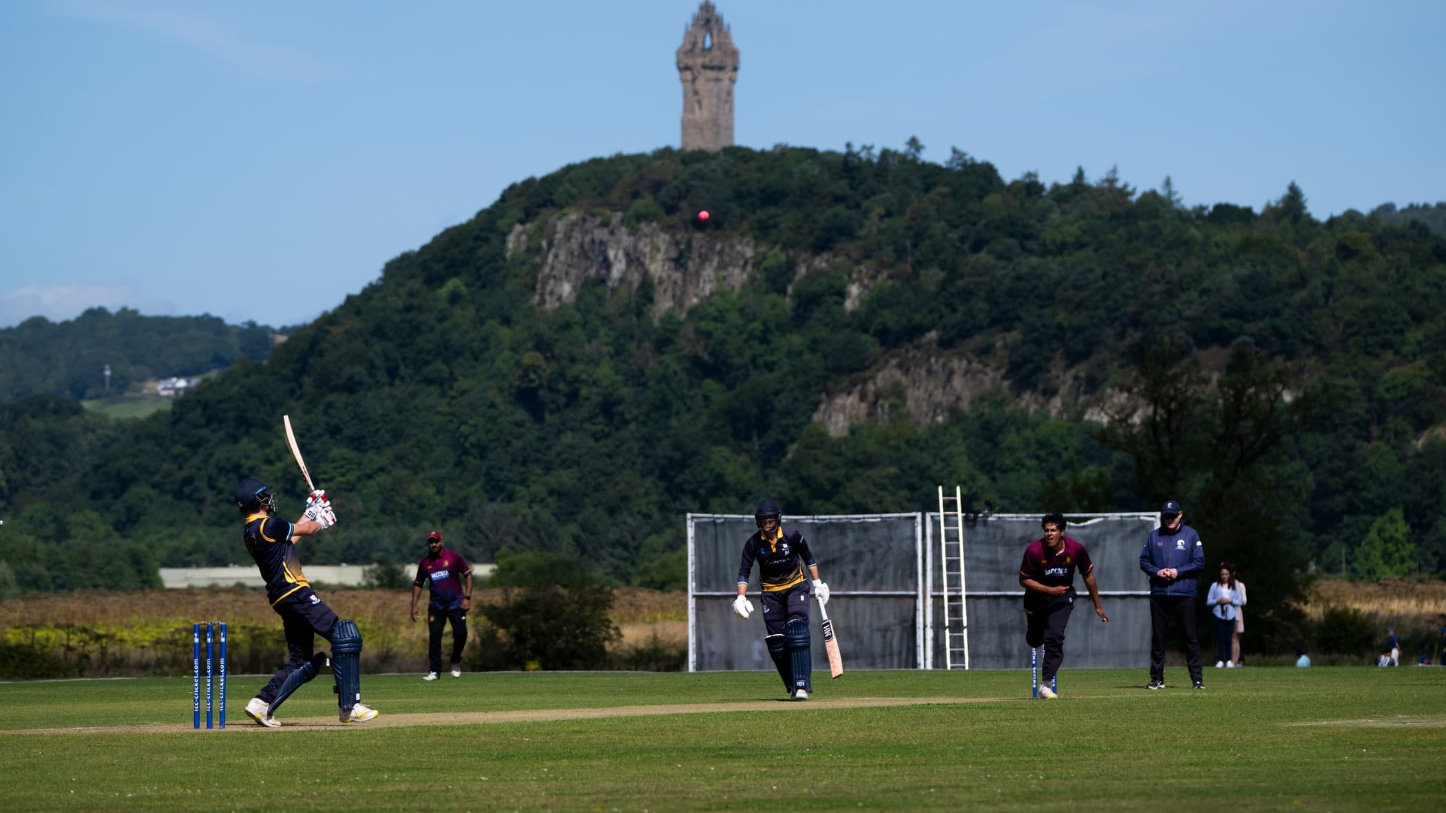 NEW DOMESTIC CRICKET COMMITTEE APPOINTED
